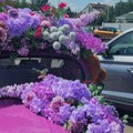 Mladenci iz Novog Sada izabrali neobičan auto: Okićen sa 1.000 ljubičastih ruža ostavio bez daha prolaznike