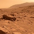 Najveći meteorit sa Marsa prodat na aukciji za rekordnu sumu