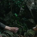 Regionalna premijera filma „Vetre, pričaj sa mnom“ u okviru takmičarskog programa 31. Sarajevo Film Festivala