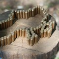 Menjaju se granice? Dobiće teritoriju veličine dve trećine Srbije?