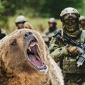 Medved rastrgao američke vojnike: Oglasili se nadležni zbog horora na Aljasci - zver je i dalje na slobodi!