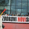 Aktivisti zborova Novog Sada i članovi posmatračke misije ostaju u pritvoru, odbijena žalba odbrane
