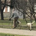 PIO fond: Novo povećanje penzija i dalje u planu, ali konačna odluka još nije doneta