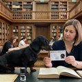 Upoznajte Foksija, jedinog psa u Srbiji koji je i član biblioteke! Seoski jazavičar postao književna zvezda