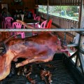 Odvratno: Uhapšena četiri vlasnika restorana zbog kupovine više od 10 tona mesa ukradenih pasa
