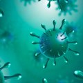 Naučnici otkrili nepoznati virus u Marijanskom rovu