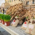 Evo šta treba da radite na Badnje veče da bi ste imali sreće i zdravlja tokom cele godine! Zrenjanin - Badnji dan i veče