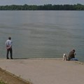 Mamac za zlatnu ribicu