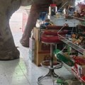 Kamera snimila horor u prodavnici Divlja zver razbila vrata, pa ušetala u radnju kao da je kupac - ljudi bežali glavom bez…