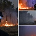 (Foto) Žirondinci u panici, požari se i dalje šire, Makron sazvao međuministarski krizni štab