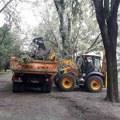 U nevremenu oboreno i polomljeno 2.276 stabala u Novom Sadu
