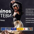 Tradicionalni španski ples „flamenko“ 25. novembra u Nišu