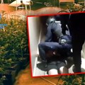 Jovan Marjanović (29) "pao" u Španiji: Za njim raspisana crvena Interpolova poternica: Evo zbog čega se tragalo za njim
