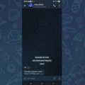 MUP:Telegram nalog na ime ministra Dačića lažan, tražićemo od Amerike podatke o vlasniku