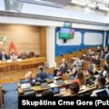 Роми желе свог представника у Скупштини Црне Горе како би се рушиле предрасуде
