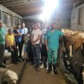 Mladi u Prijepolju jačaju šanse za zapošljavanje kroz razvoj stočarstva