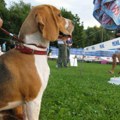 Od socijalizacije do specijalizovane obuke: U Sušici održano prvenstvo školovanih pasa