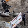 Uništena NATO bomba koja je uklonjena sa gradilišta u Nišu