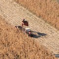 Objavljeno 5 javnih poziva za subvencije za beogradske poljoprivrednike