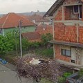 Majka hrabrost: Roda brani mladunce od grada (VIDEO)