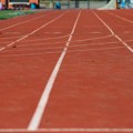 Kustoska vođenja kroz izložbu "Sport u umetnosti" tokom vikenda u Galeriji Matice