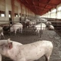 Pomoć poljoprivrednicima pogođenim požarima stigla i u Kragujevac