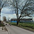 Građani Višnjevačke ulice strahuju zbog čopora pasa lutalica: „Ne možemo da prođemo ulicom“