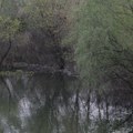 Crni vikend na srpskim rekama otvorio ključna pitanja bezbednosti: Stručnjaci ukazuju na najveće zablude kupača
