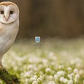 Microsoft potvrdio Recycle Bin bag u svim Windows verzijama