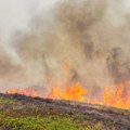 Požari bukte širom Evrope: Visoke temperature povećavaju rizik, najteža situacija u Italiji i Grčkoj