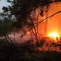 Požar guta Deliblatsku peščaru: Vatrena stihija zahvatila više od 1.500 hektara, u gašenju učestvuje više od 400 ljudi (foto…