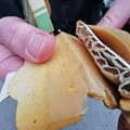 "Čuvao ih dok je živ uz natpis 'uspomena iz Niša'": Sretenu život spasile dve paklice cigareta