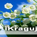 Toplo vreme u većem delu zemlje, Kragujevac dostiže 27 stepeni