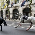 Haos na londonskim ulicama! Oglasila se policija: "Konji britanske konjice pobegli sa vežbe" (foto)