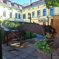 Deo drveta odlomljen iza hotela „Vojvodina” Srećom, niko nije sedeo u hladu lipe