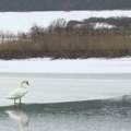 Zima počinje u subotu, 21. decembra, u 10 sati i 20 minuta