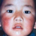 Misterija šestogodišnjeg tibetanskog vođe koji je nestao pre 30 godina