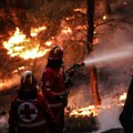 FOTO, VIDEO Pogledajte najdramatičnije snimke požara u Gčkoj: Gorelo na Tasosu i Atici