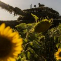 Otkrivena jeziva istina o ukrajinskom sukobu