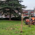 Redovno održavanje javnih površina za uređeniji grad