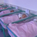 Za devet novosadskih beba po 300 hiljada dinara za Dan grada