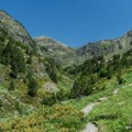 Zemlja u kojoj gotovo da nema kriminala i svi žive dugo: Standard je fantastičan, ali jedna stvar odbija mnoge