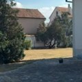 Najskuplja estradna vila – vredi 700.000 evra: Pevačica je nasledila nakon ubistva muža, sad uživa u luskuzu