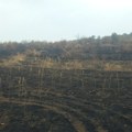 Istraživali smo! Da li će gazdinstva u Osmakovu, koja su u požaru pretrpela štetu, dobiti nadoknadu ili će to biti samo "pusta…