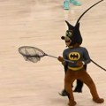Šou u NBA ligi: Slepi miš prekinuo meč, maskota obučena u kostim Betmena ga jurila po parketu