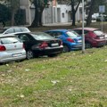 Nasred parkinga bačena svinjska glava: Stanovnici Novog Beograda uznemireni prizorom (foto)