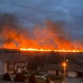 Požar u Krnjači, gori nisko rastinje, vatrogasci na terenu