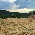 Sunčano uz lokalni razvoj oblačnosti