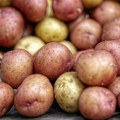 Cena krompira u Nemačkoj u slobodnom padu
