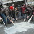 Udruženje odgajivača goveda najavilo blokadu puta i prosipanje mleka u Vučkovici kod Kragujevca